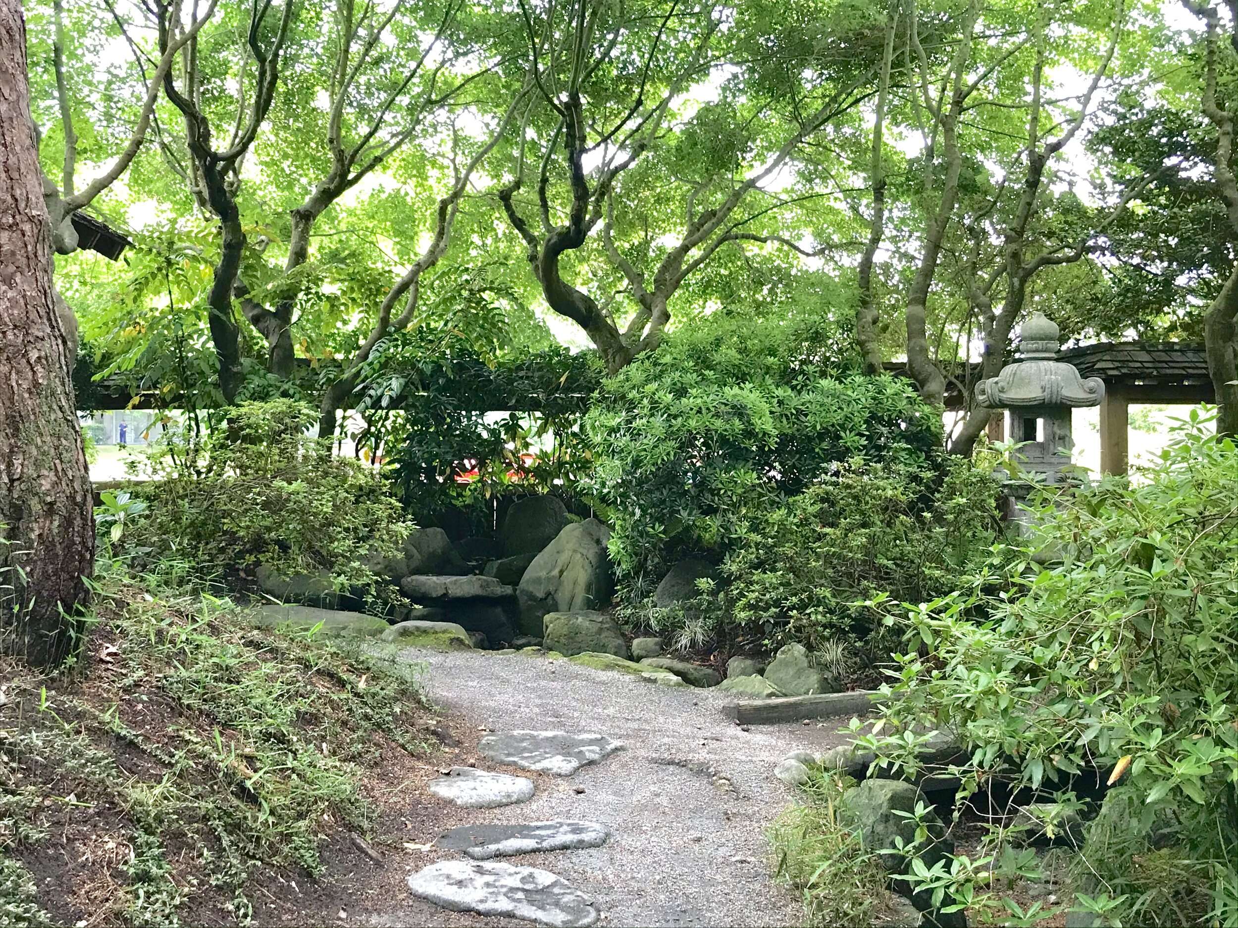 🌸 지바시 도시녹화 식물원 이미지 4